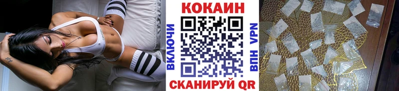 Кокаин Эквадор  Ершов 