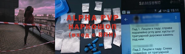 сатива Балахна