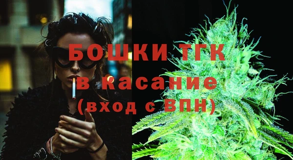 сатива Балахна