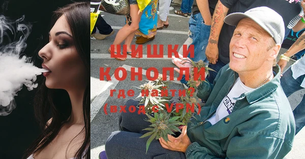 сатива Балахна