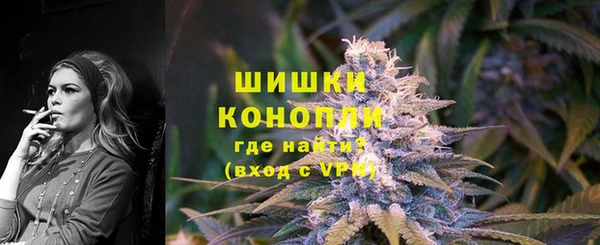 сатива Балахна